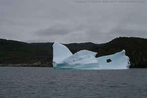 Link to img_1408.cr2.small.jpg.