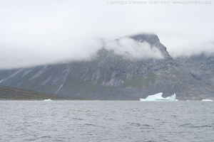 Link to img_1450.cr2.small.jpg.