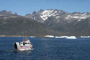 Link to img_1501.cr2.small.jpg.