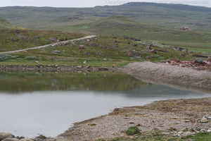 Link to img_1588.cr2.small.jpg.