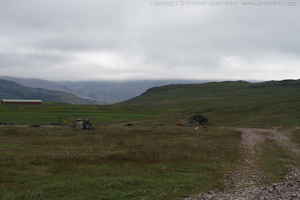 Link to img_1598.cr2.small.jpg.