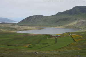 Link to img_1608.cr2.small.jpg.