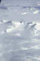 Link to img_1753.small.jpg.